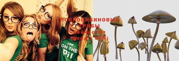 каннабис Алзамай