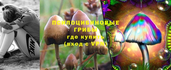 мет Абинск