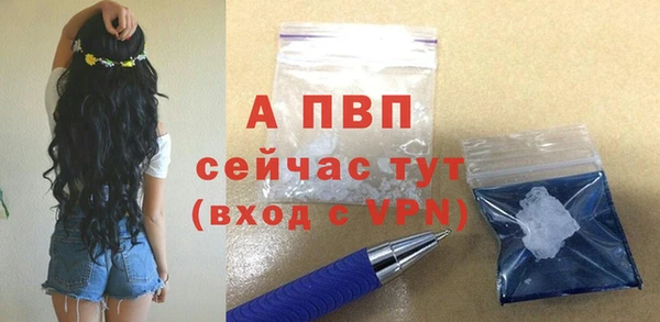 амф Пестово